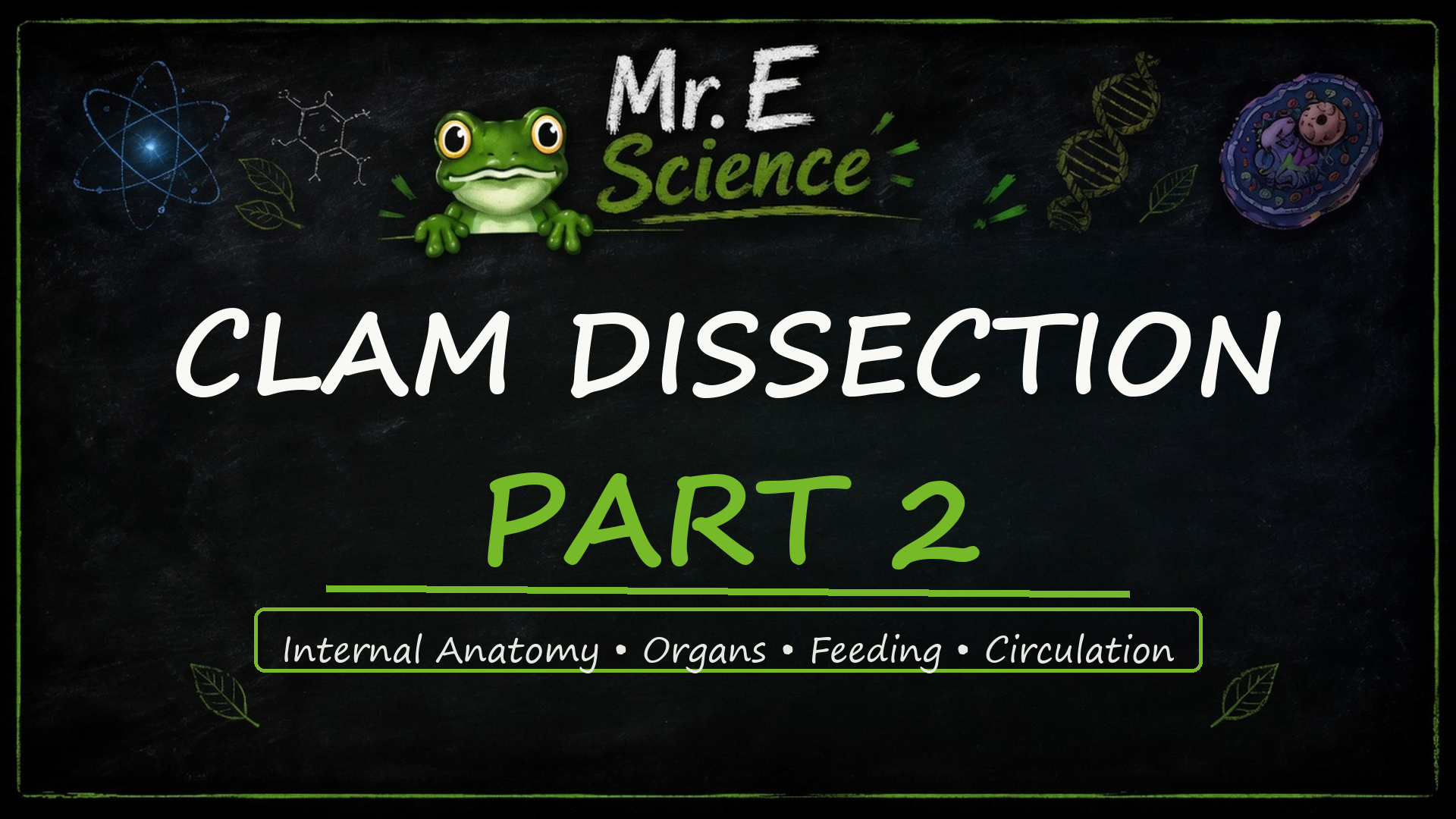 Clam Dissection — Part 2